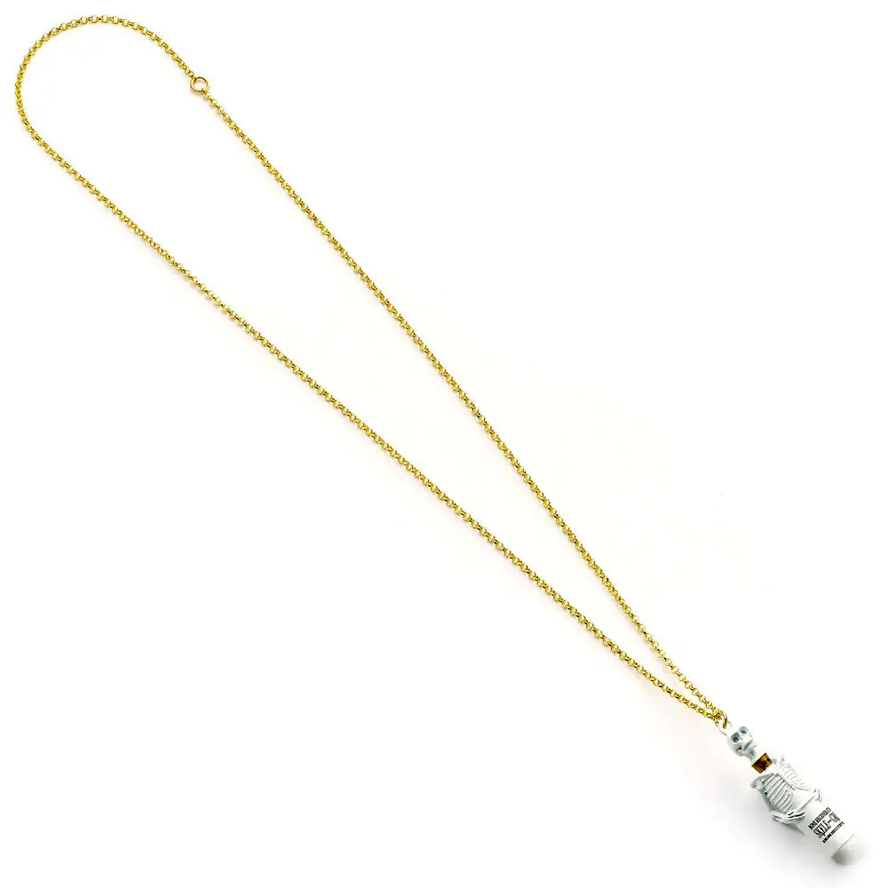 Harry Potter Skelegro ogrlica fotografija proizvoda