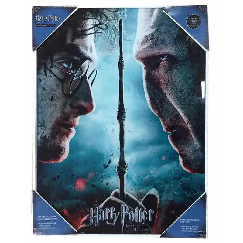 Harry Potter vs Voldemort stakleni poster fotografija proizvoda