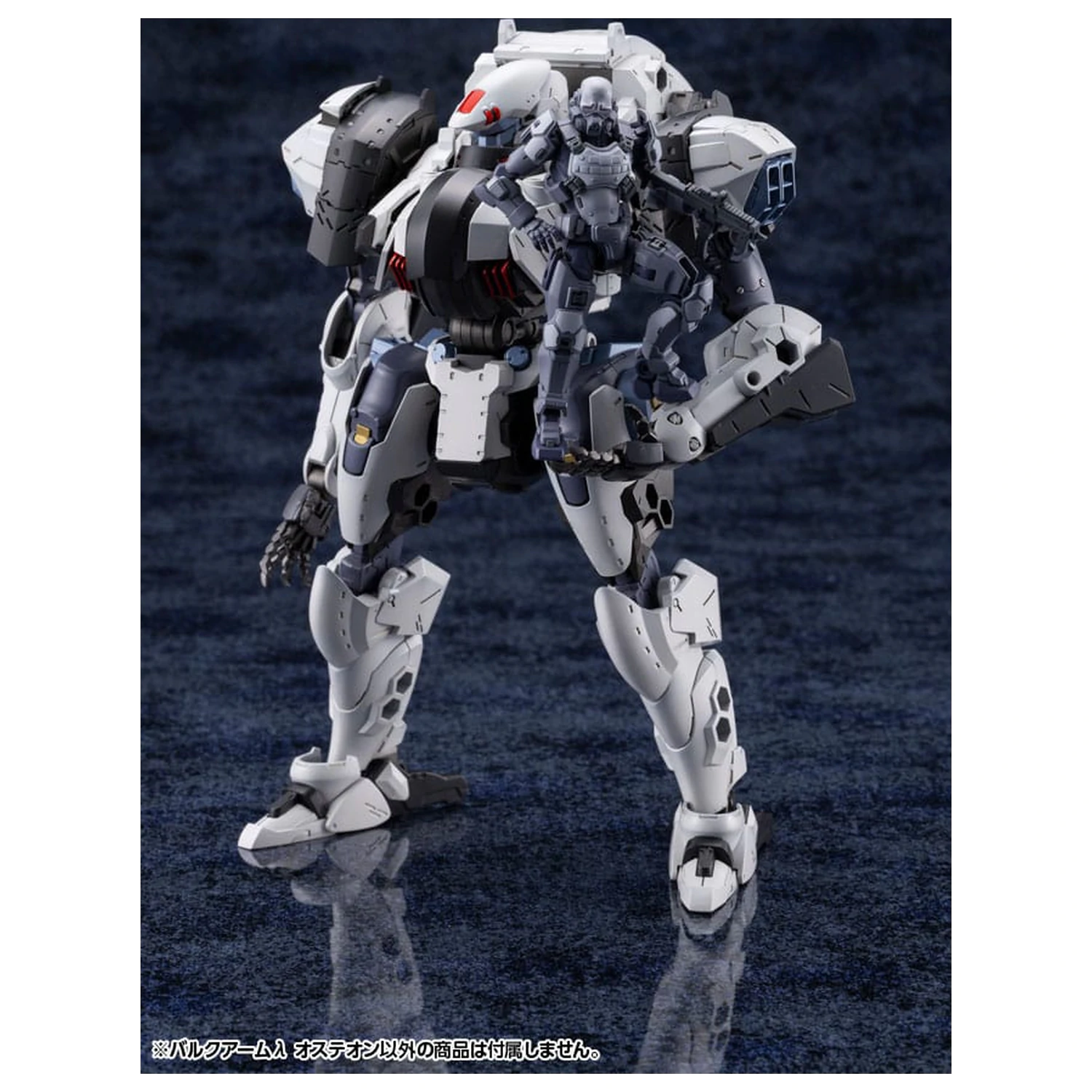 Hexa Gear Plastic Model Kit 1/24 Bulkarm? Osteon 18 cm fotografija proizvoda