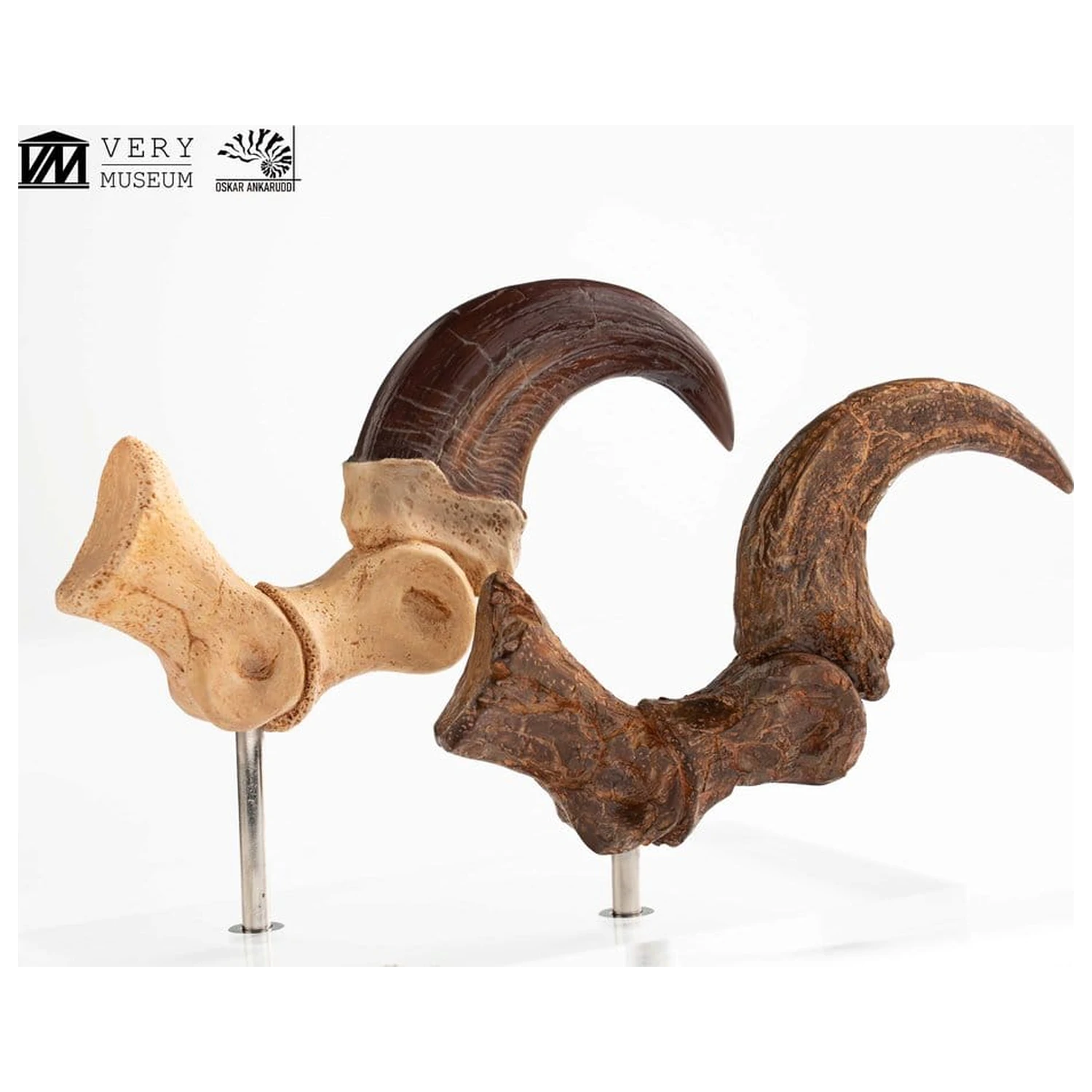 Jurassic Park ECC Elite Creature Line kip Velociraptor nožna kandža i set fosilnih kandži 20 cm fotografija proizvoda