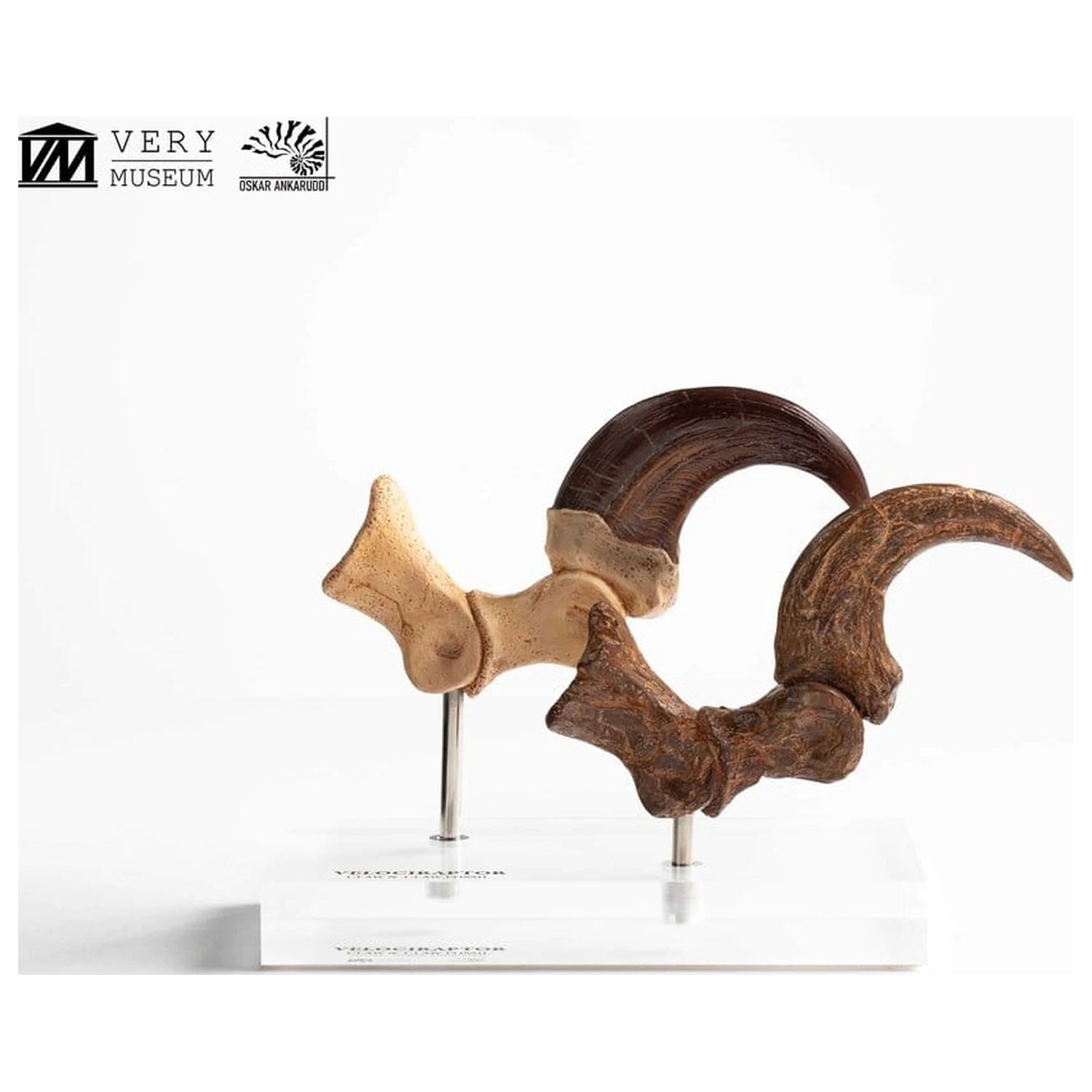 Jurassic Park ECC Elite Creature Line kip Velociraptor nožna kandža i set fosilnih kandži 20 cm fotografija proizvoda