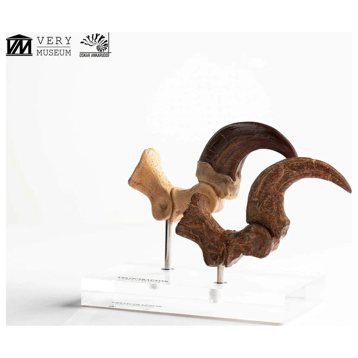 Jurassic Park ECC Elite Creature Line kip Velociraptor nožna kandža i set fosilnih kandži 20 cm fotografija proizvoda