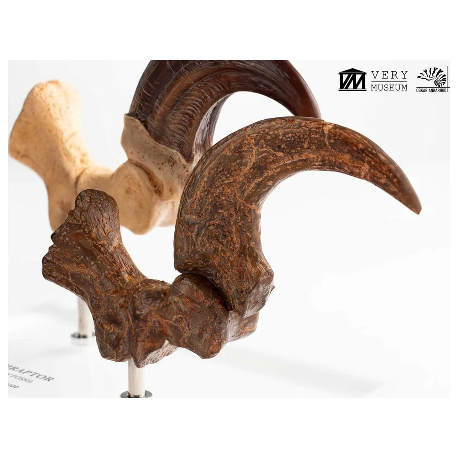 Jurassic Park ECC Elite Creature Line kip Velociraptor nožna kandža i set fosilnih kandži 20 cm fotografija proizvoda