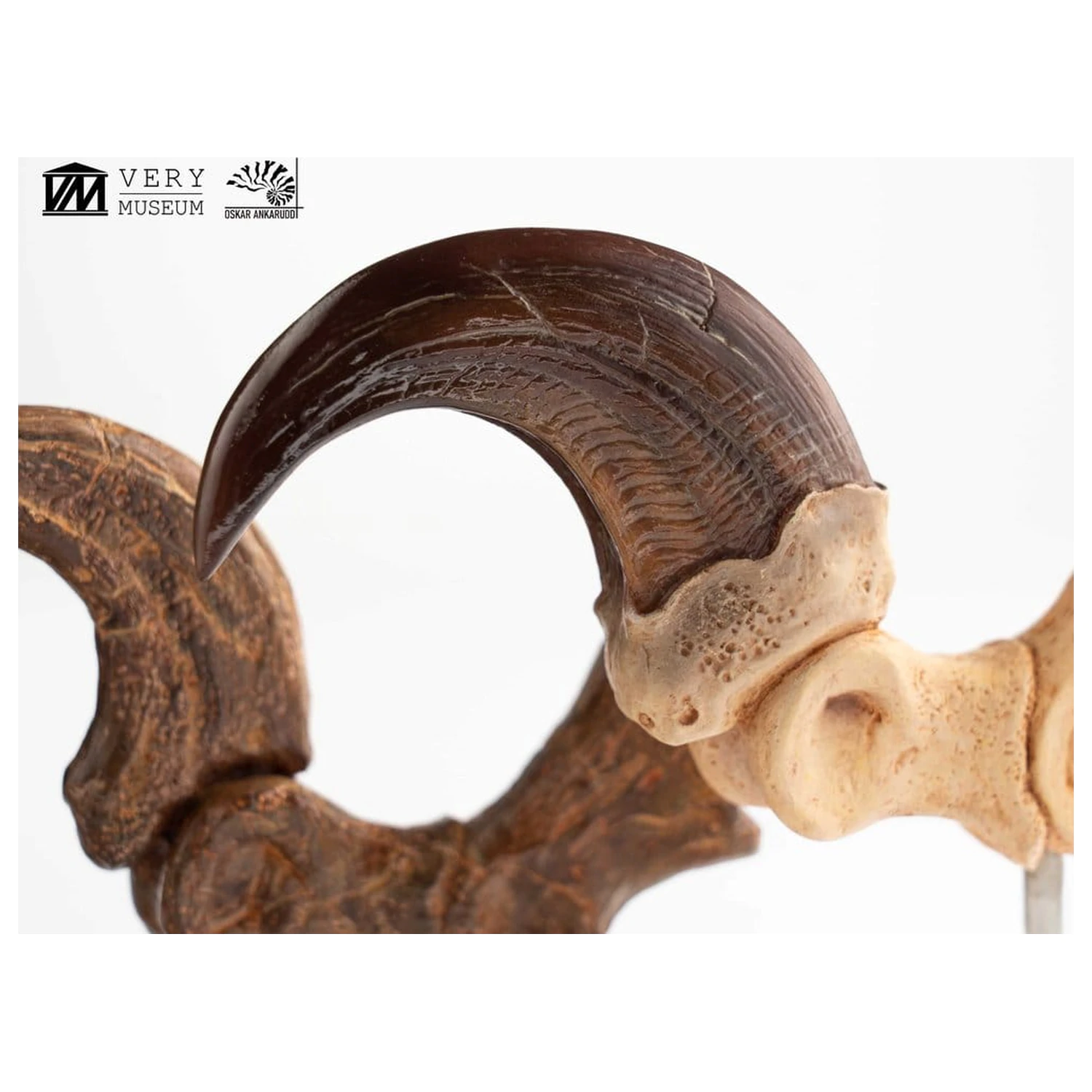 Jurassic Park ECC Elite Creature Line kip Velociraptor nožna kandža i set fosilnih kandži 20 cm fotografija proizvoda