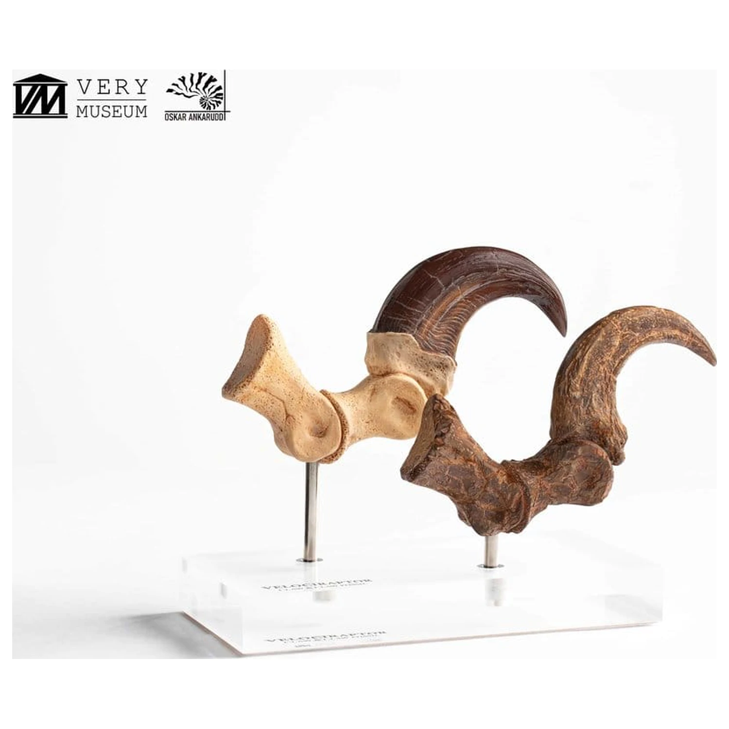 Jurassic Park ECC Elite Creature Line kip Velociraptor nožna kandža i set fosilnih kandži 20 cm fotografija proizvoda