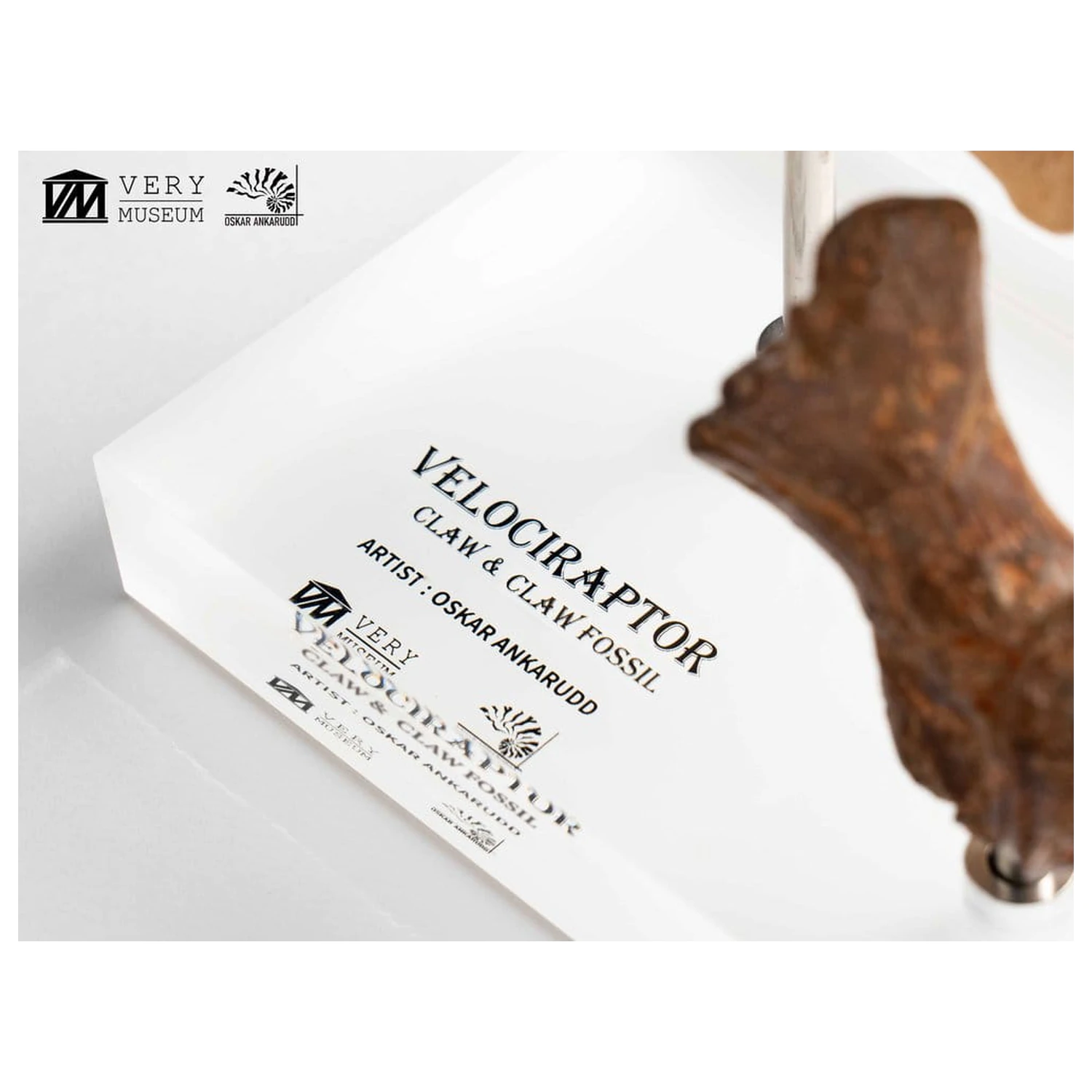 Jurassic Park ECC Elite Creature Line kip Velociraptor nožna kandža i set fosilnih kandži 20 cm fotografija proizvoda