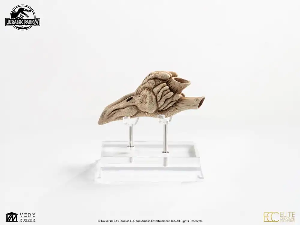 Jurassic Park III Prop Replika 1/1 Velociraptor rezonantna komora 18 cm fotografija proizvoda
