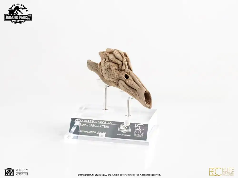 Jurassic Park III Prop Replika 1/1 Velociraptor rezonantna komora 18 cm fotografija proizvoda