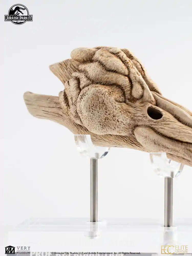 Jurassic Park III Prop Replika 1/1 Velociraptor rezonantna komora 18 cm fotografija proizvoda