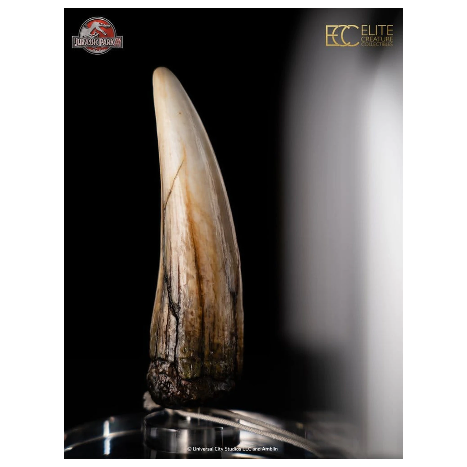 Jurassic Park III Prop Replica 1/1 zub Spinosaurusa 14 cm fotografija proizvoda