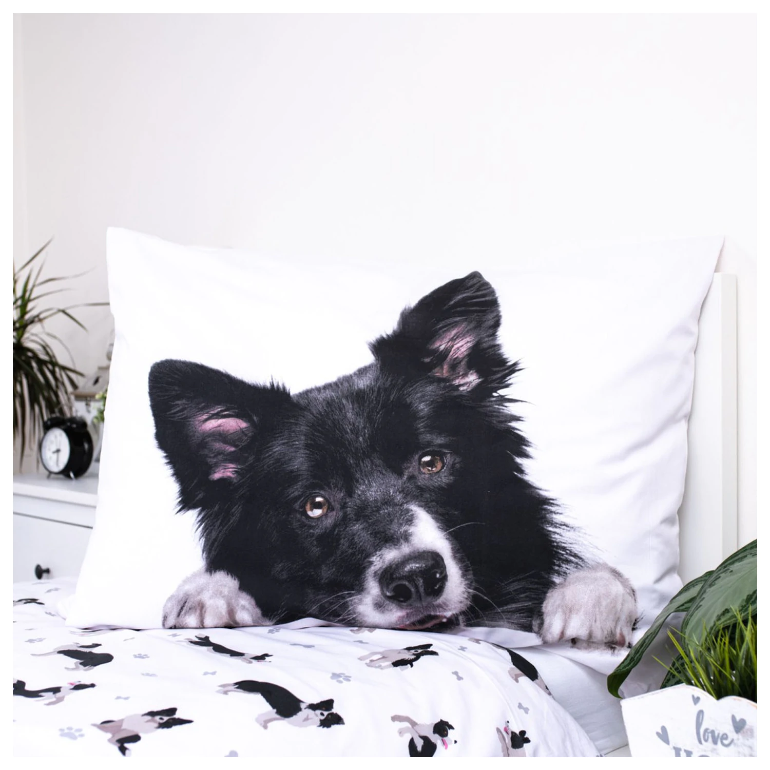 Dog Border Collie navlaka za poplun fotografija proizvoda