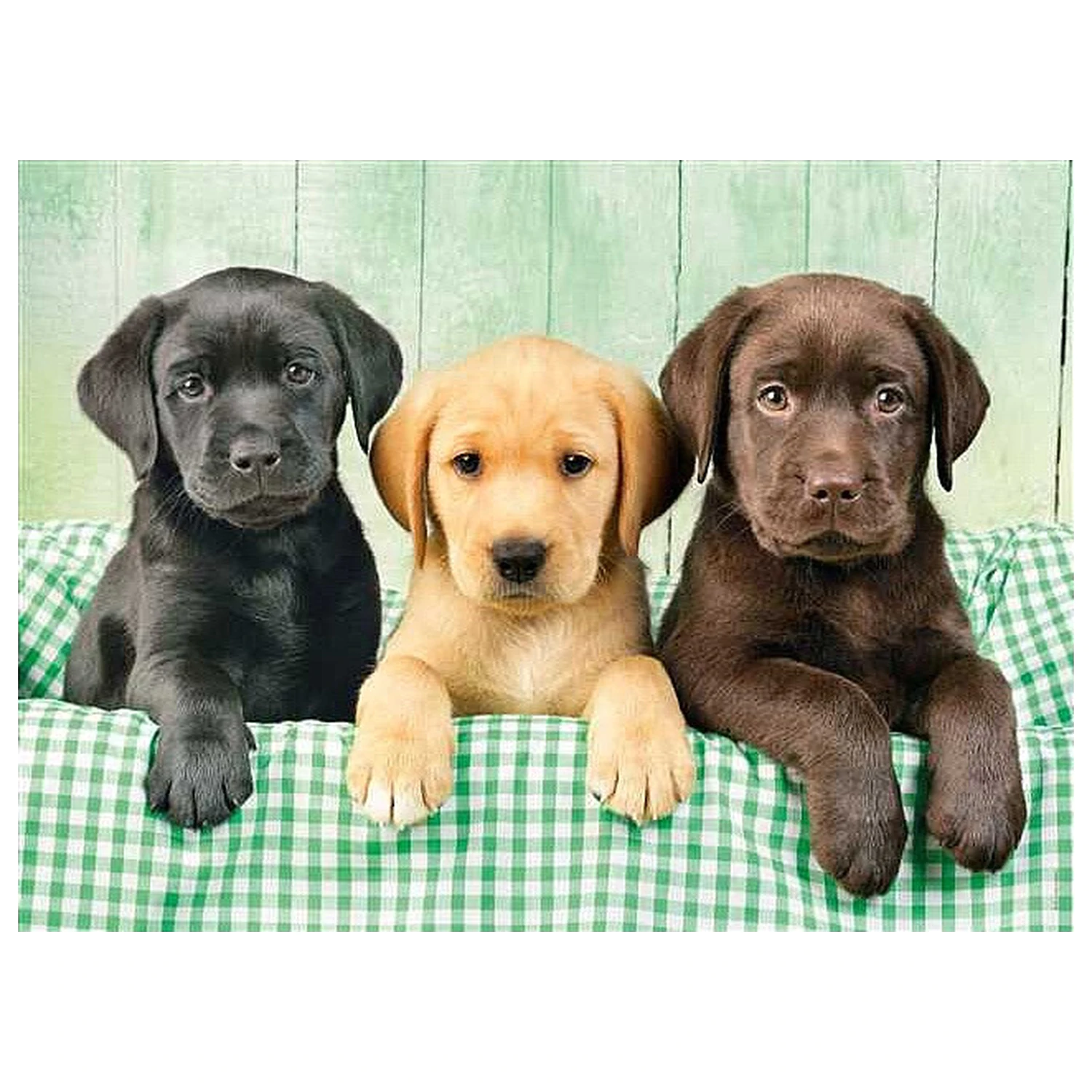 Dog Labrador Slagalica od 1000 komada fotografija proizvoda