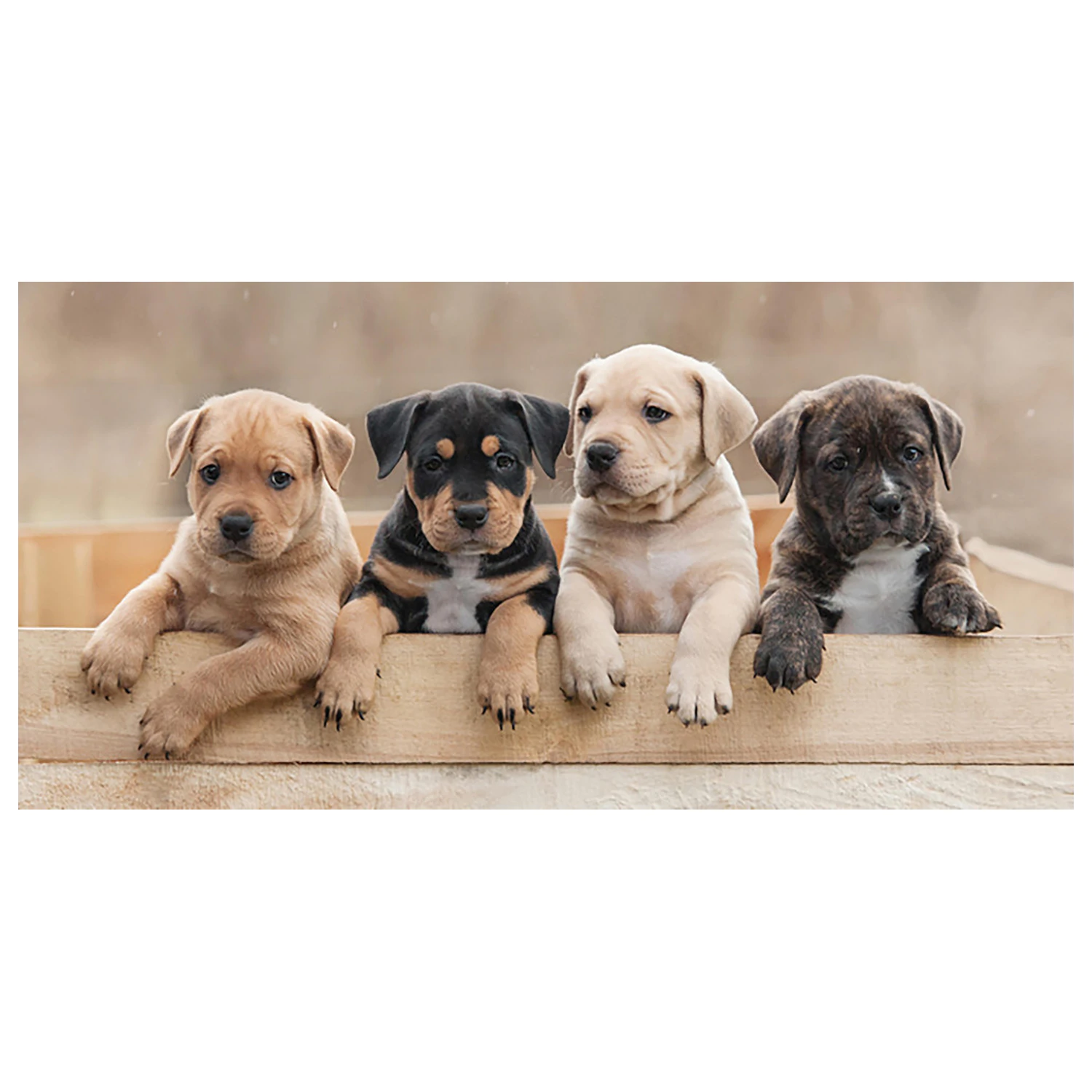 Dog Team ručnik fotografija proizvoda