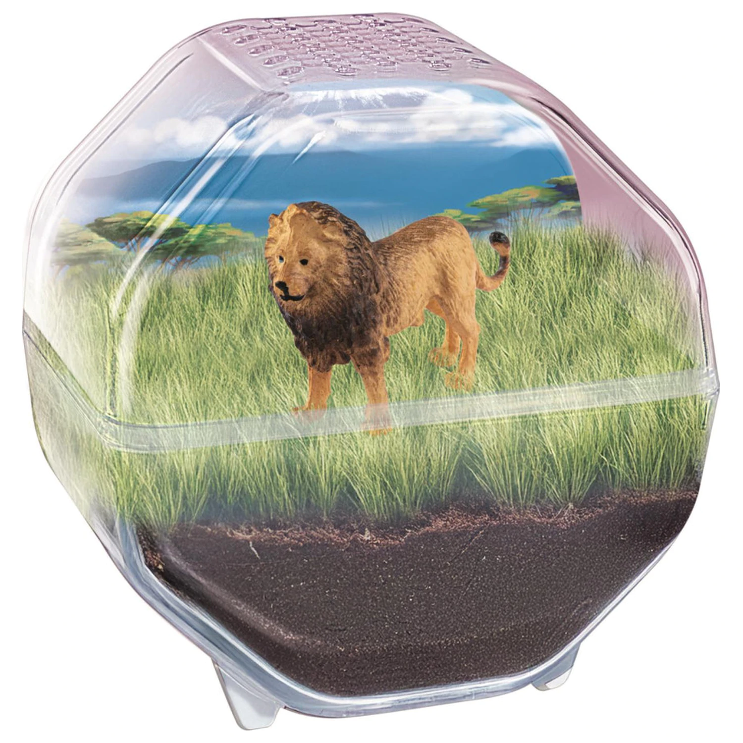 Mini Lion terarij fotografija proizvoda