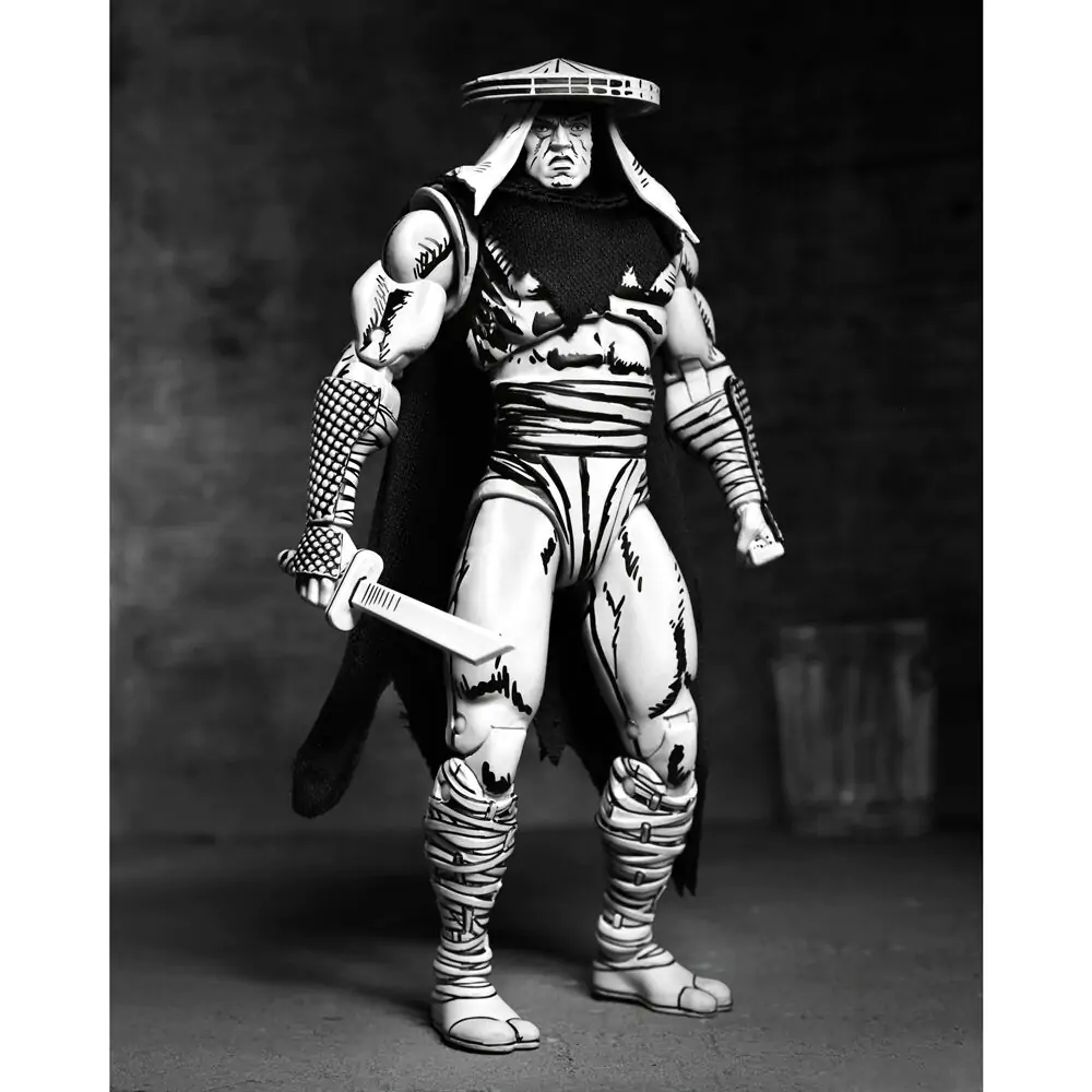 Ninja Turtles Teenage Mutant Foot Elite Assassin Black & White figura 18 cm fotografija proizvoda
