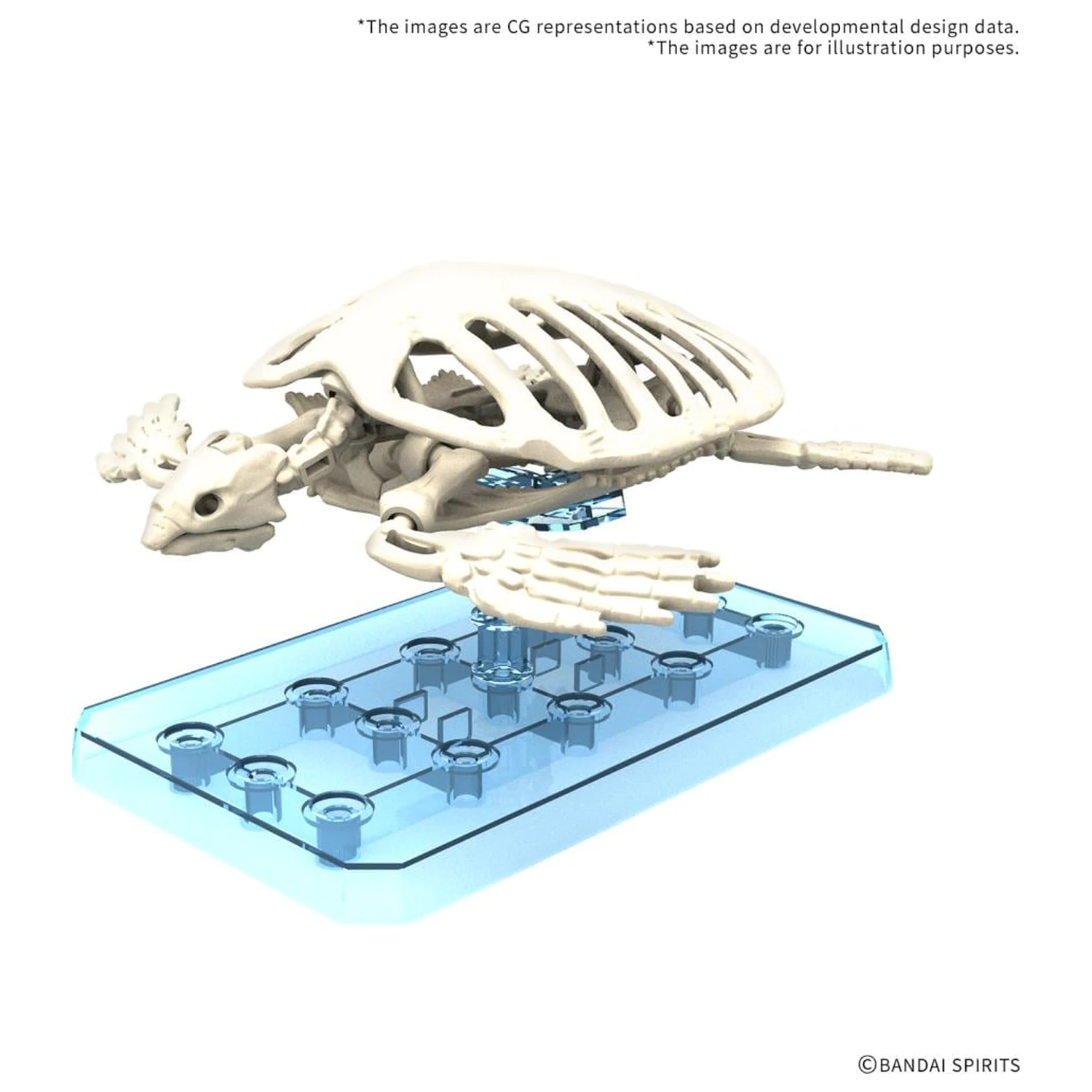 Plannosaurus Archelon Maketa fotografija proizvoda