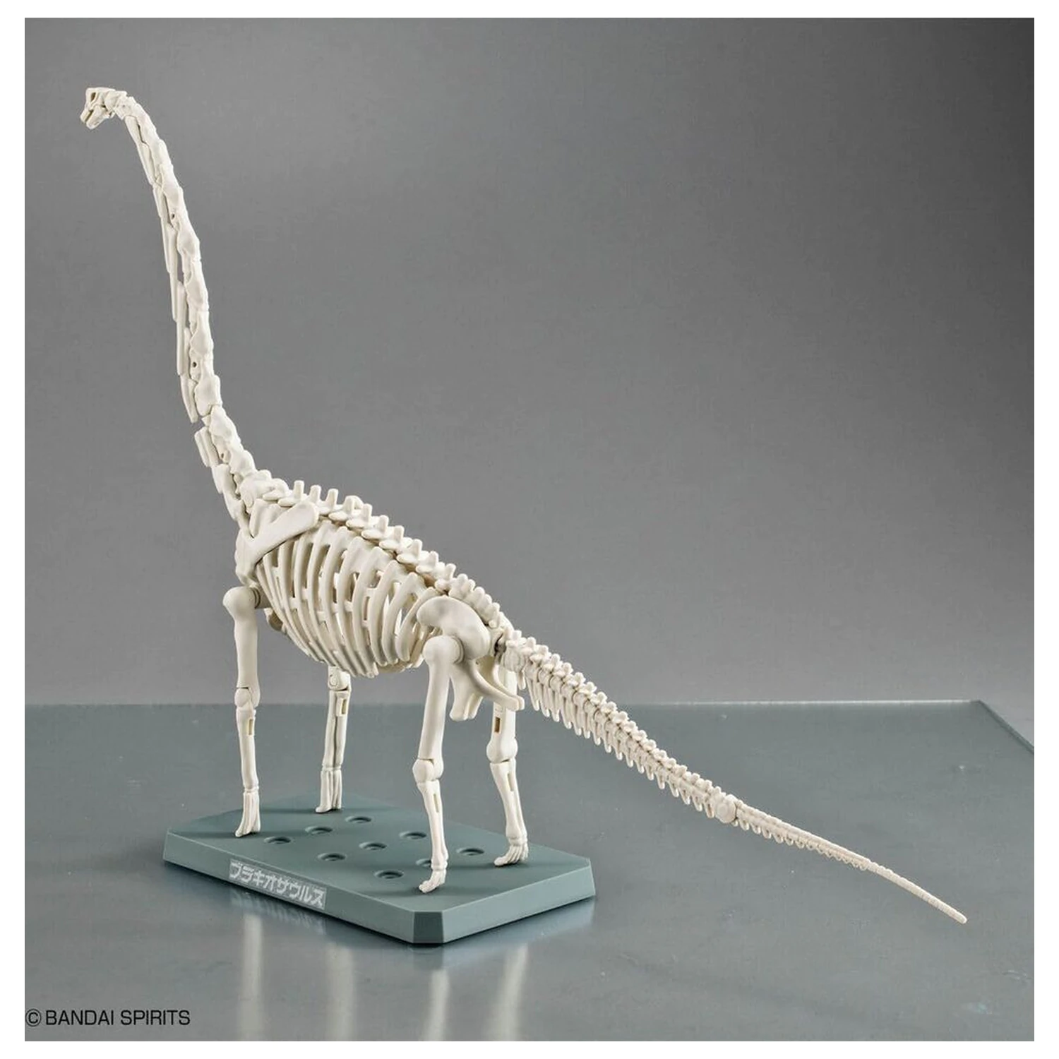 Model Kit Plannosaurus Brachiosaurus fotografija proizvoda