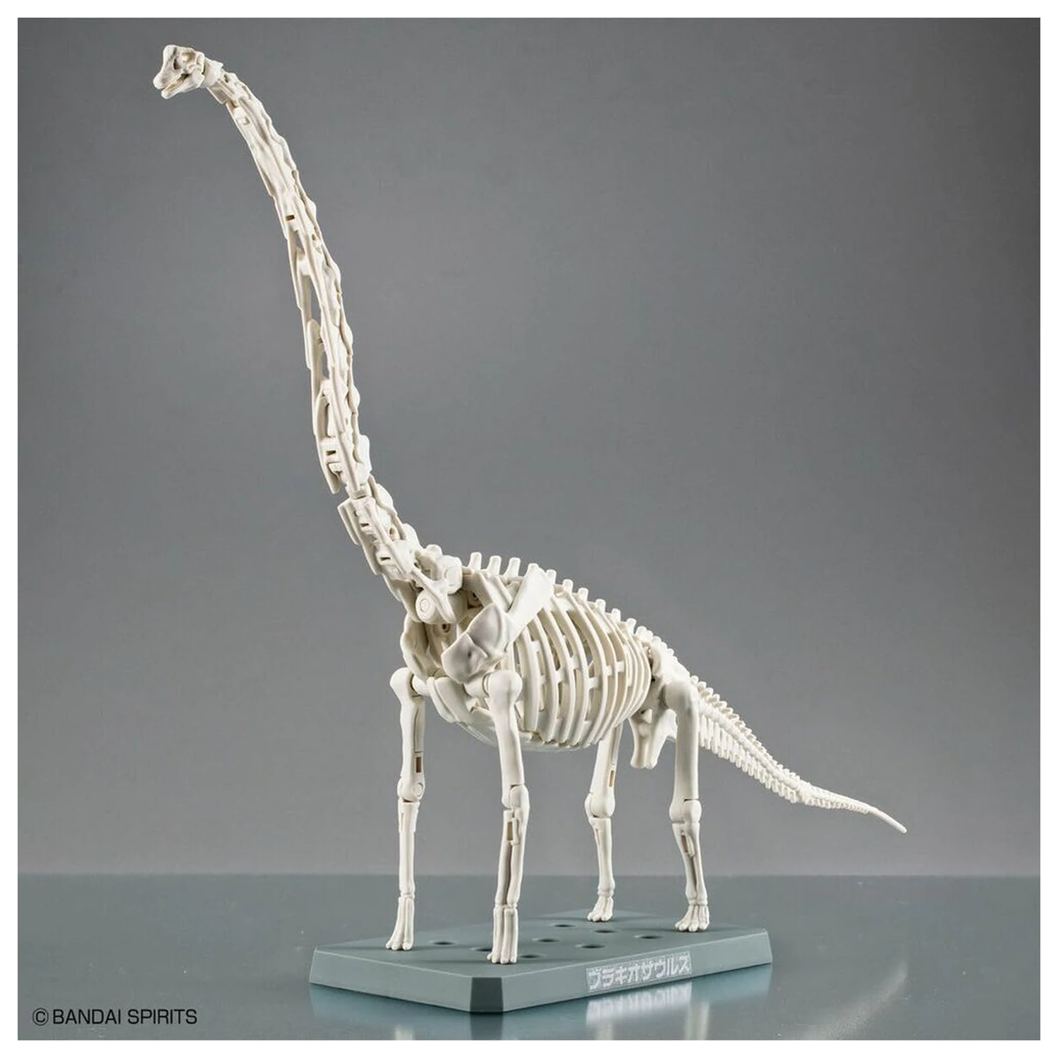 Model Kit Plannosaurus Brachiosaurus fotografija proizvoda