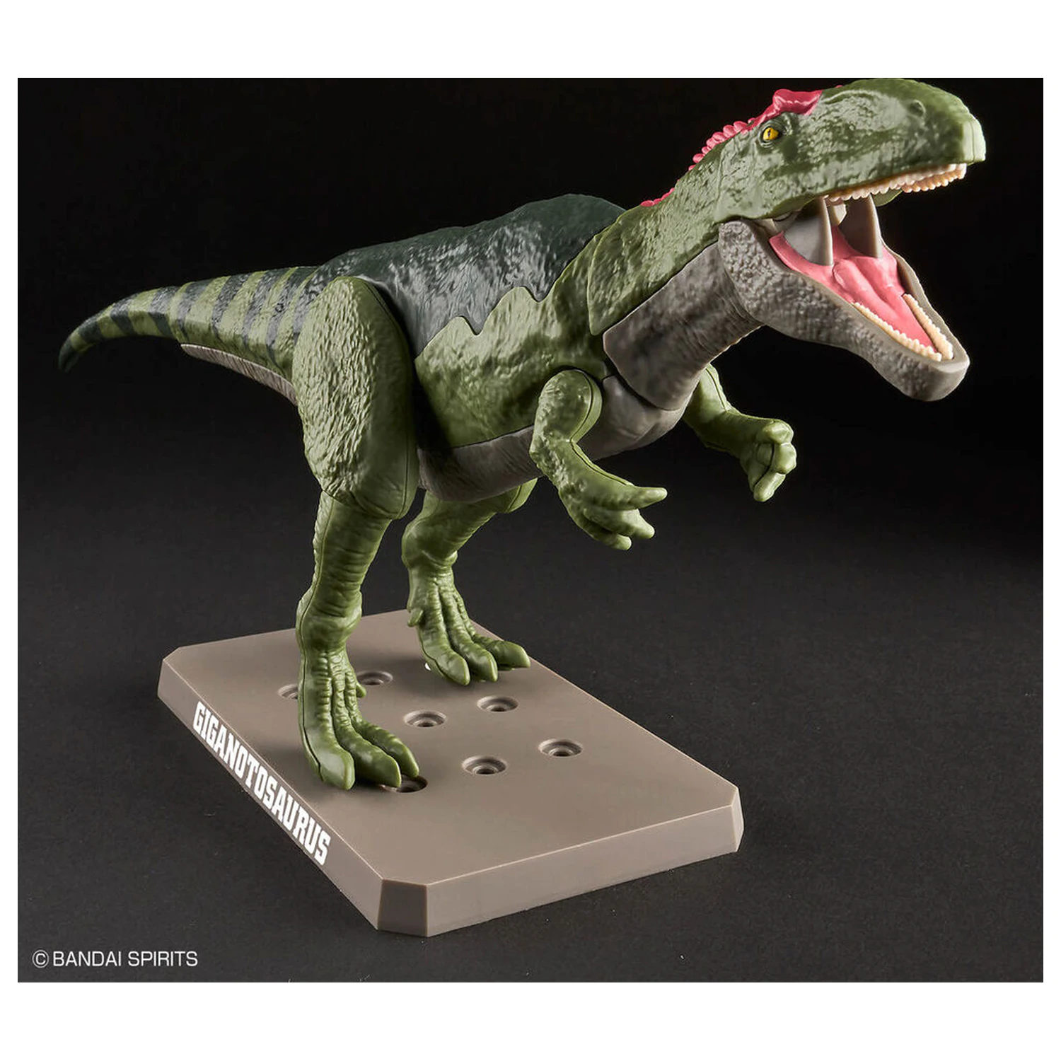 Model Kit Plannosaurus Giganotosaurus fotografija proizvoda