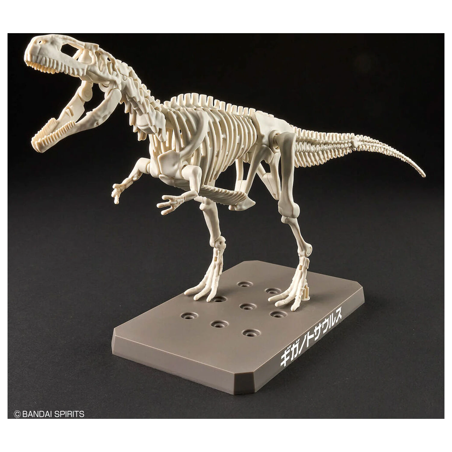 Model Kit Plannosaurus Giganotosaurus fotografija proizvoda