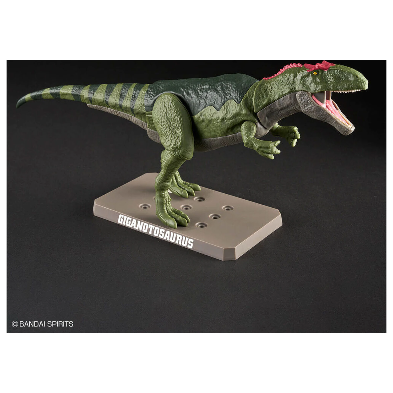 Model Kit Plannosaurus Giganotosaurus fotografija proizvoda