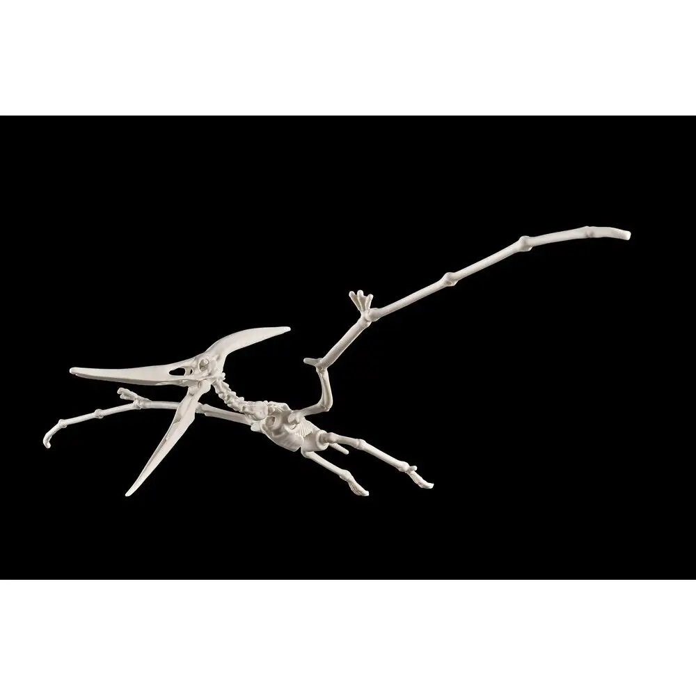 Plannosaurus Pteranodon Model Kit figura fotografija proizvoda