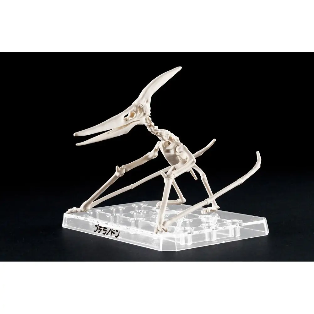 Plannosaurus Pteranodon Model Kit figura fotografija proizvoda