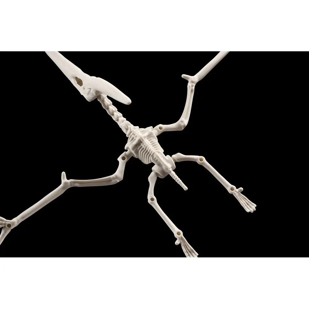 Plannosaurus Pteranodon Model Kit figura fotografija proizvoda