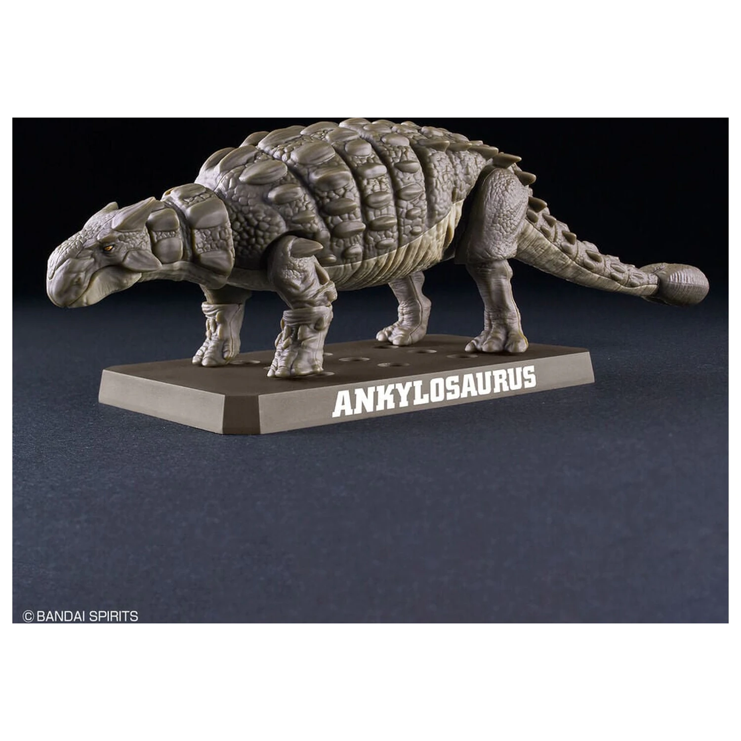 Planosaurus Ankylosaurus Model Kit fotografija proizvoda