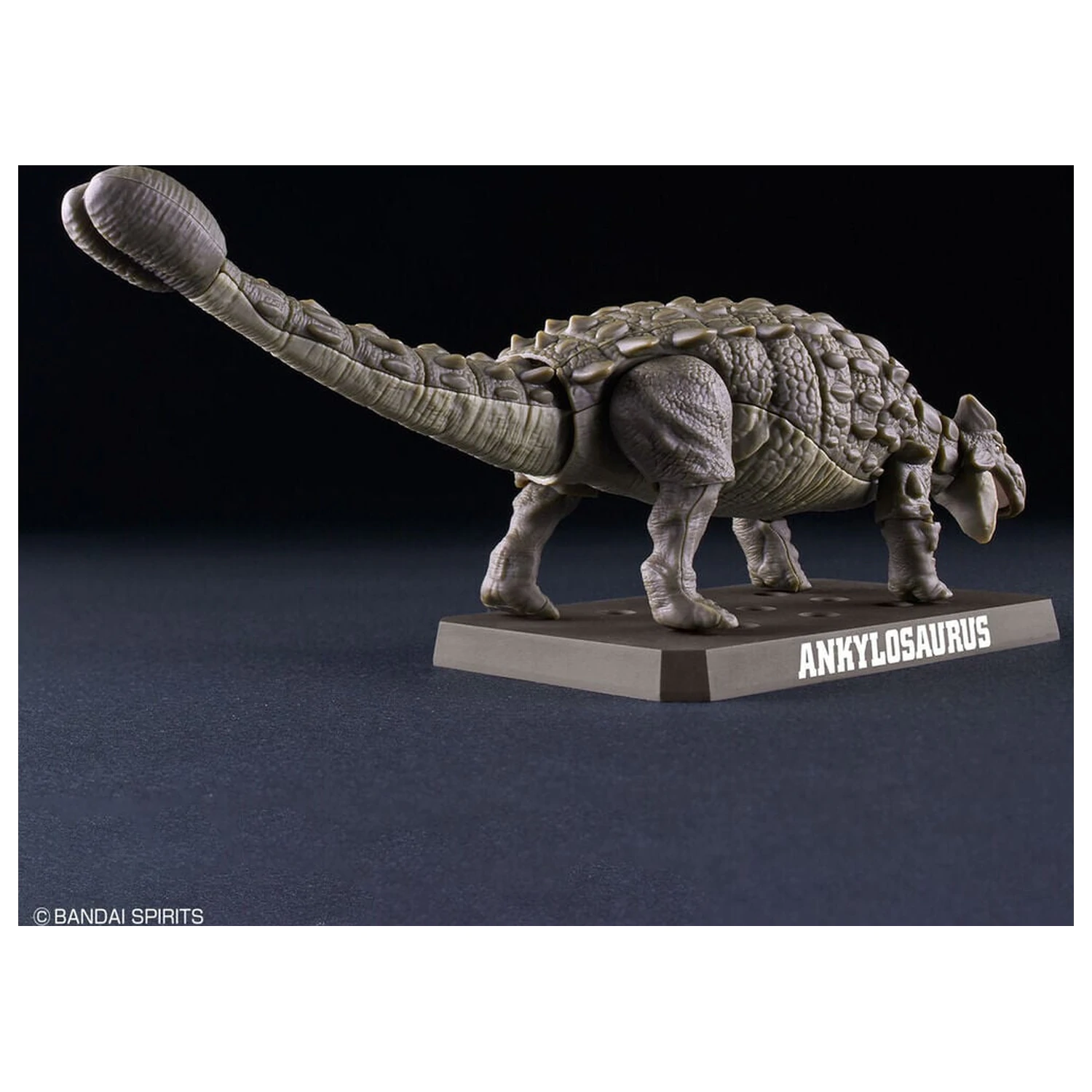 Planosaurus Ankylosaurus Model Kit fotografija proizvoda