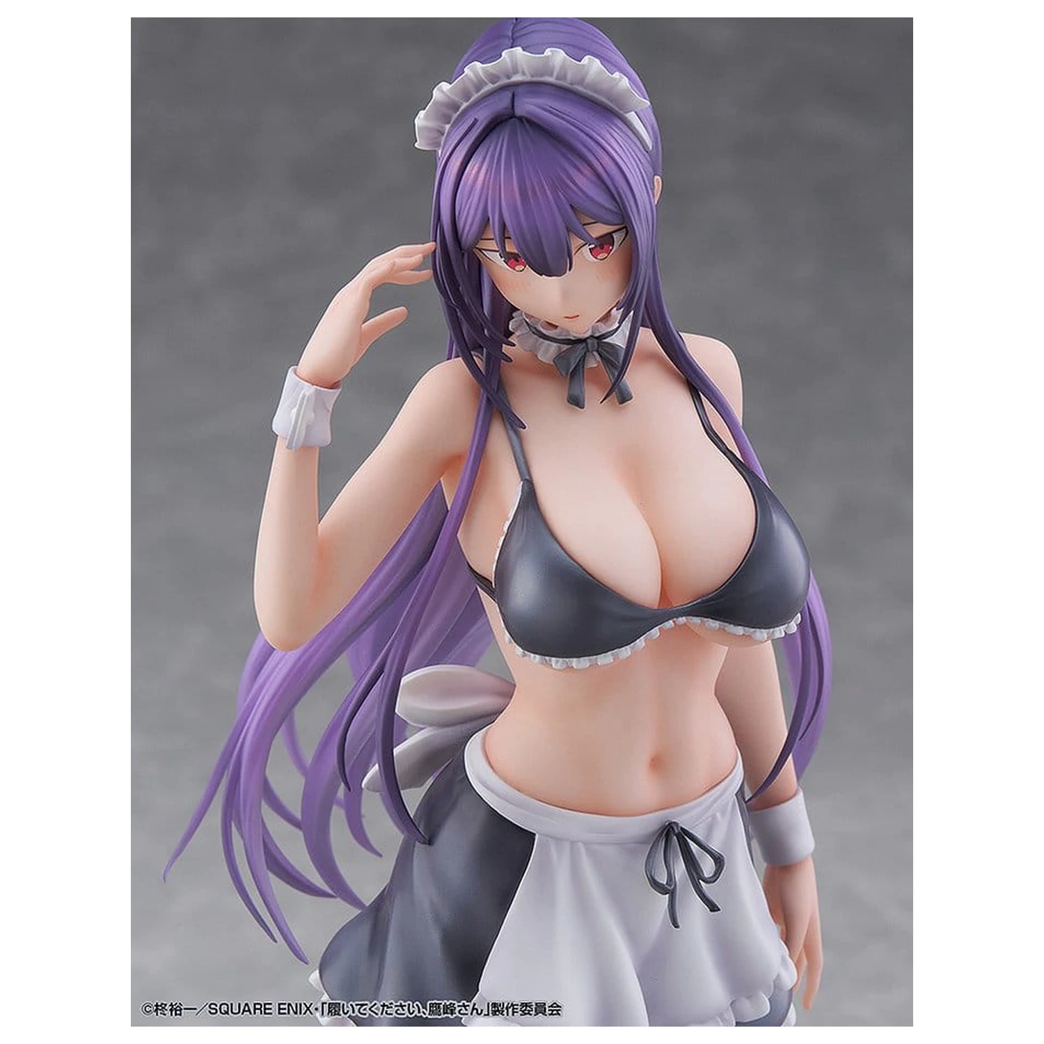"Please Put Them On, Takamine-san" PVC figura 1/6 Takane Takamine 25 cm fotografija proizvoda