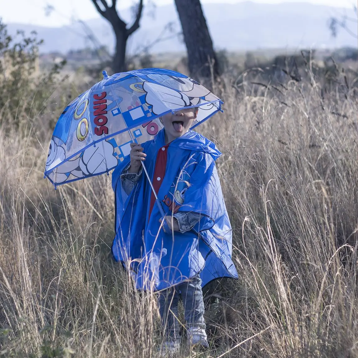 Zvučni kišobran fotografija proizvoda