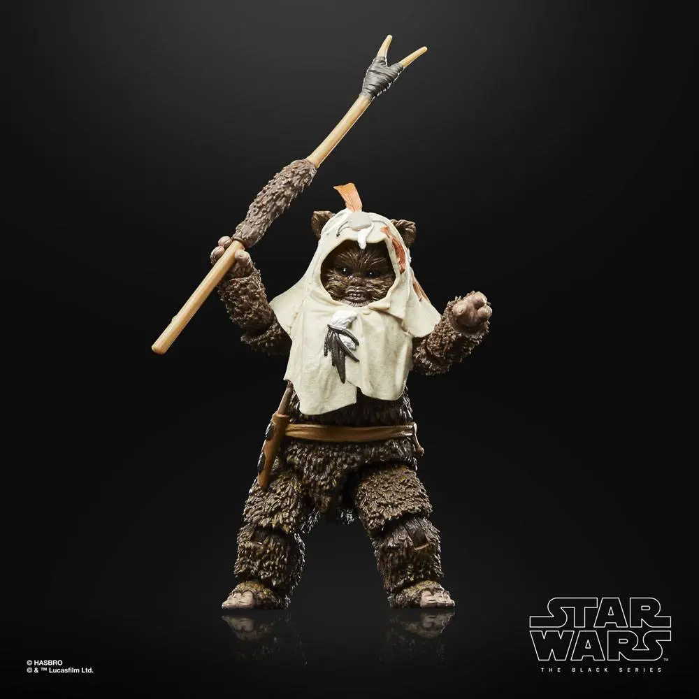 Star Wars Episode VI 40th Anniversary Black Series akcijska figura Paploo 15 cm fotografija proizvoda