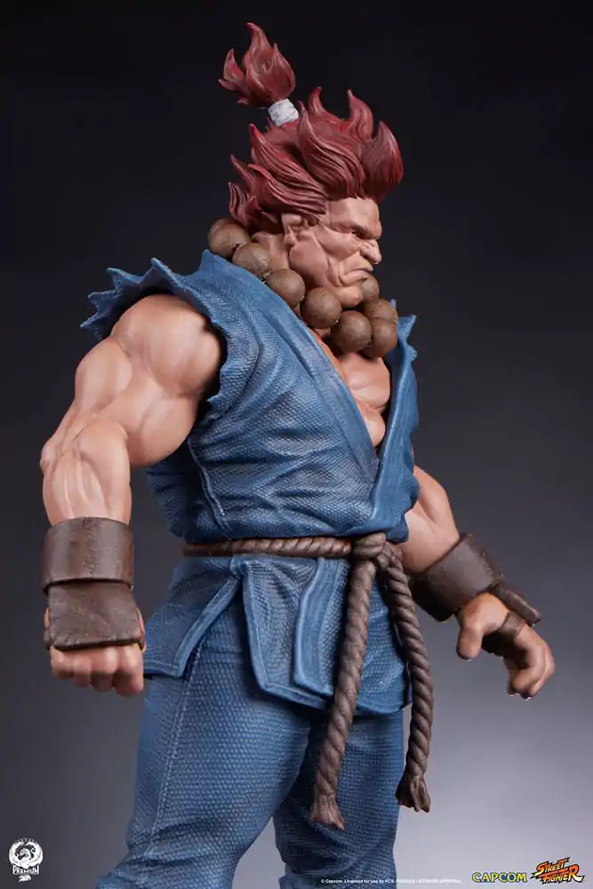 Street Fighter PVC Kipovi 1/10 Akuma & Dhalsim 21 cm fotografija proizvoda