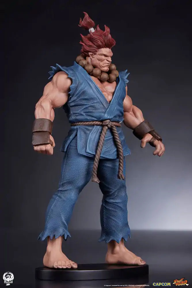 Street Fighter PVC Kipovi 1/10 Akuma & Dhalsim 21 cm fotografija proizvoda