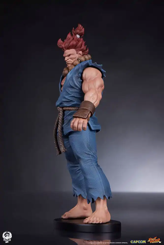 Street Fighter PVC Kipovi 1/10 Akuma & Dhalsim 21 cm fotografija proizvoda