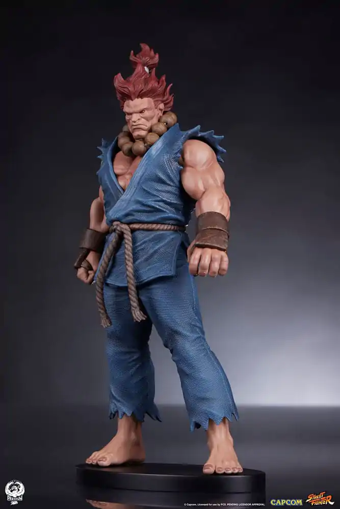 Street Fighter PVC Kipovi 1/10 Akuma & Dhalsim 21 cm fotografija proizvoda