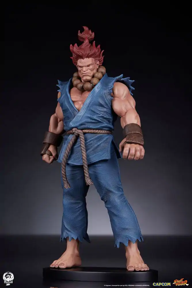 Street Fighter PVC Kipovi 1/10 Akuma & Dhalsim 21 cm fotografija proizvoda