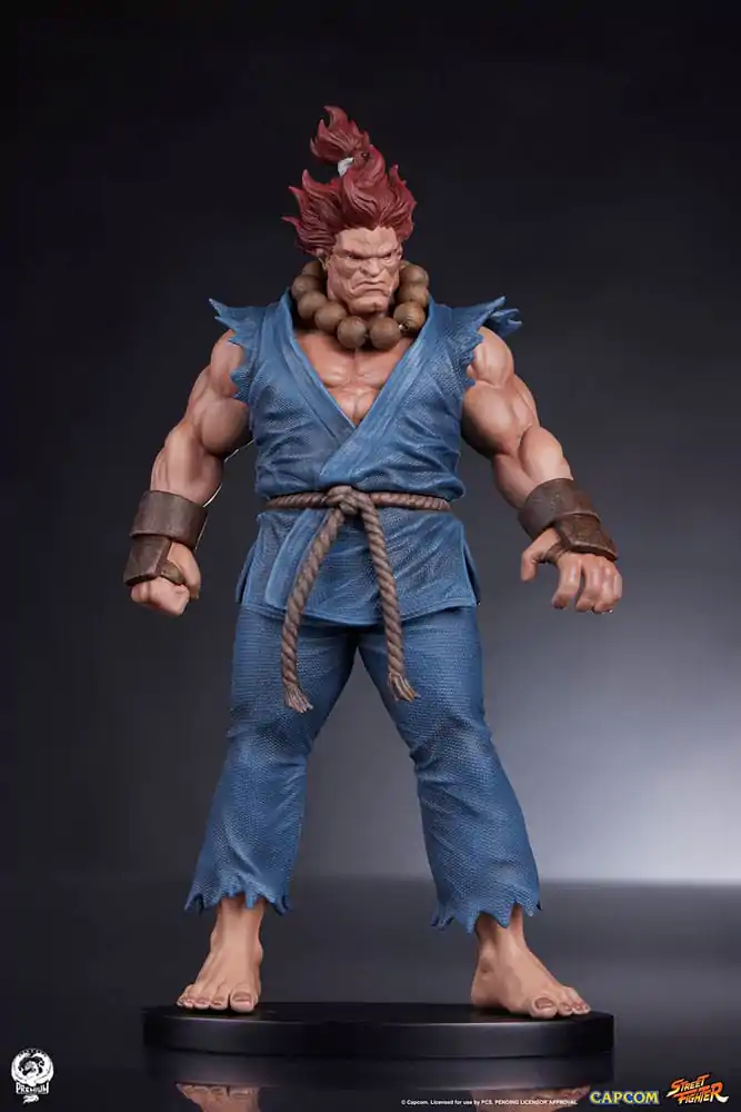 Street Fighter PVC Kipovi 1/10 Akuma & Dhalsim 21 cm fotografija proizvoda
