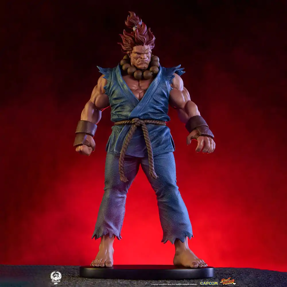 Street Fighter PVC Kipovi 1/10 Akuma & Dhalsim 21 cm fotografija proizvoda