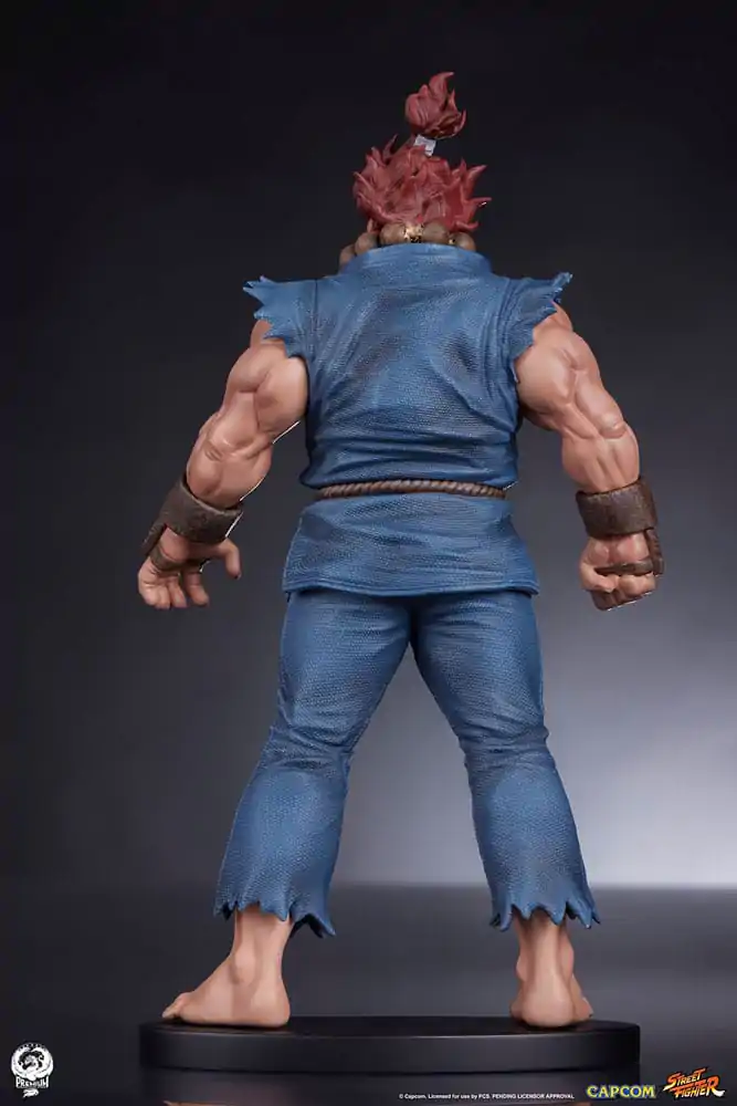 Street Fighter PVC Kipovi 1/10 Akuma & Dhalsim 21 cm fotografija proizvoda