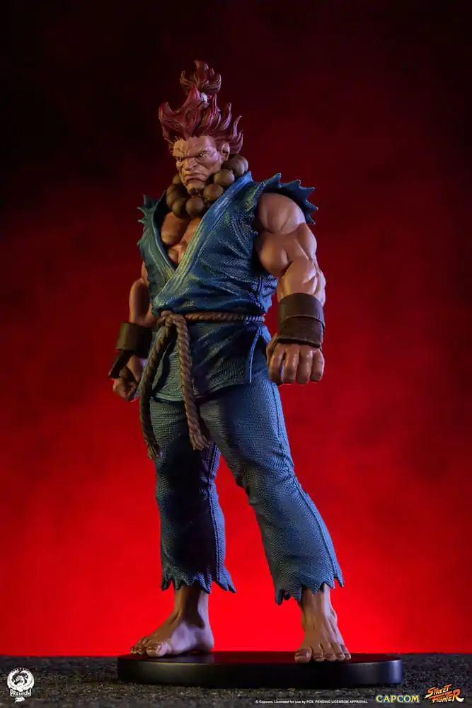 Street Fighter PVC Kipovi 1/10 Akuma & Dhalsim 21 cm fotografija proizvoda
