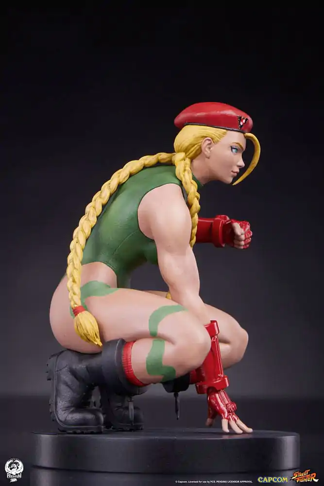 Street Fighter PVC Figurice 1/10 Cammy & Birdie 24 cm fotografija proizvoda