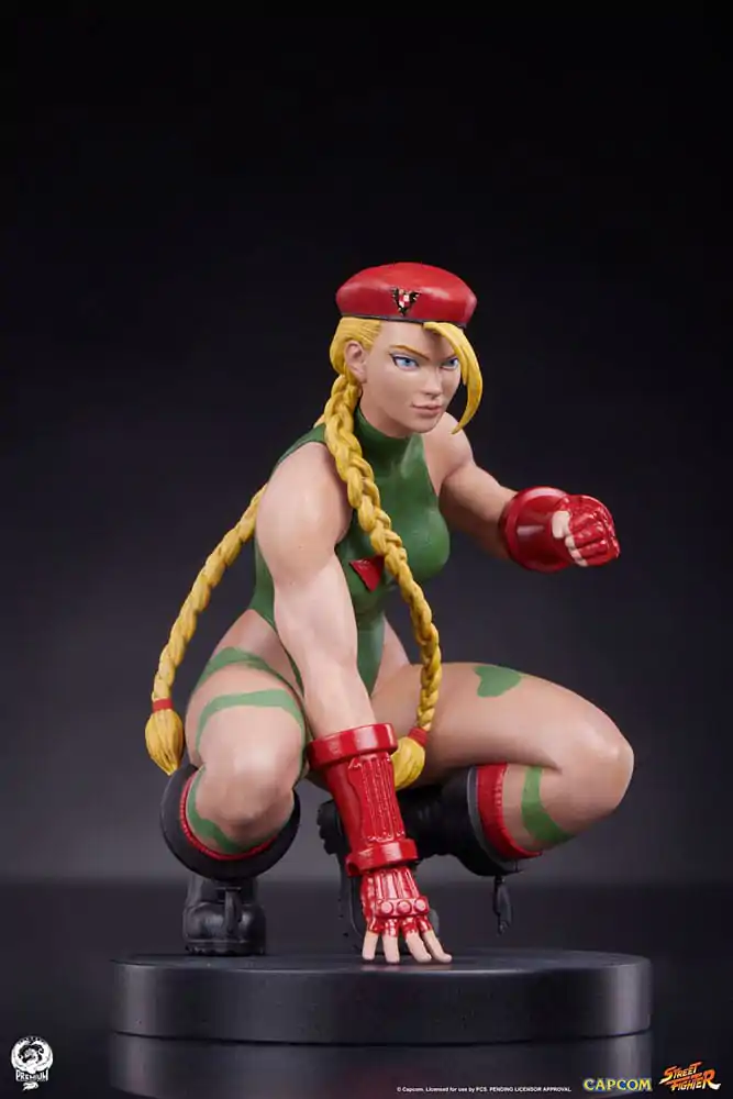 Street Fighter PVC Figurice 1/10 Cammy & Birdie 24 cm fotografija proizvoda