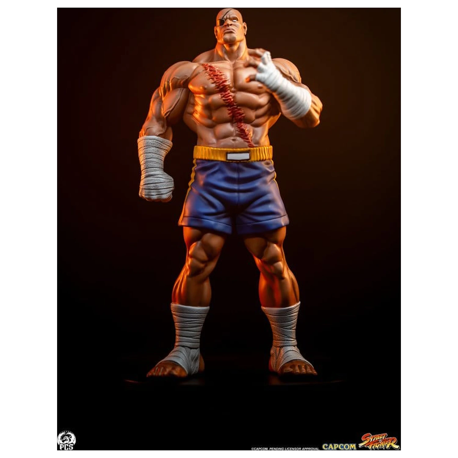 Street Fighter Street Jam statue 1/10 Sagat & Juli 24 cm fotografija proizvoda