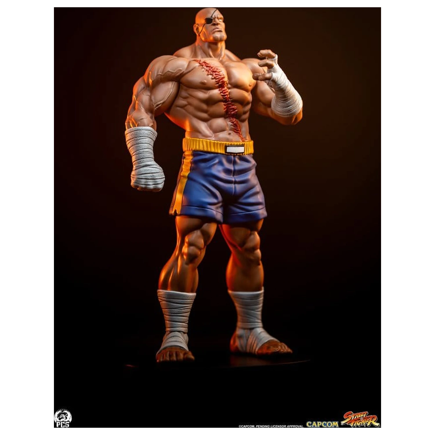 Street Fighter Street Jam statue 1/10 Sagat & Juli 24 cm fotografija proizvoda