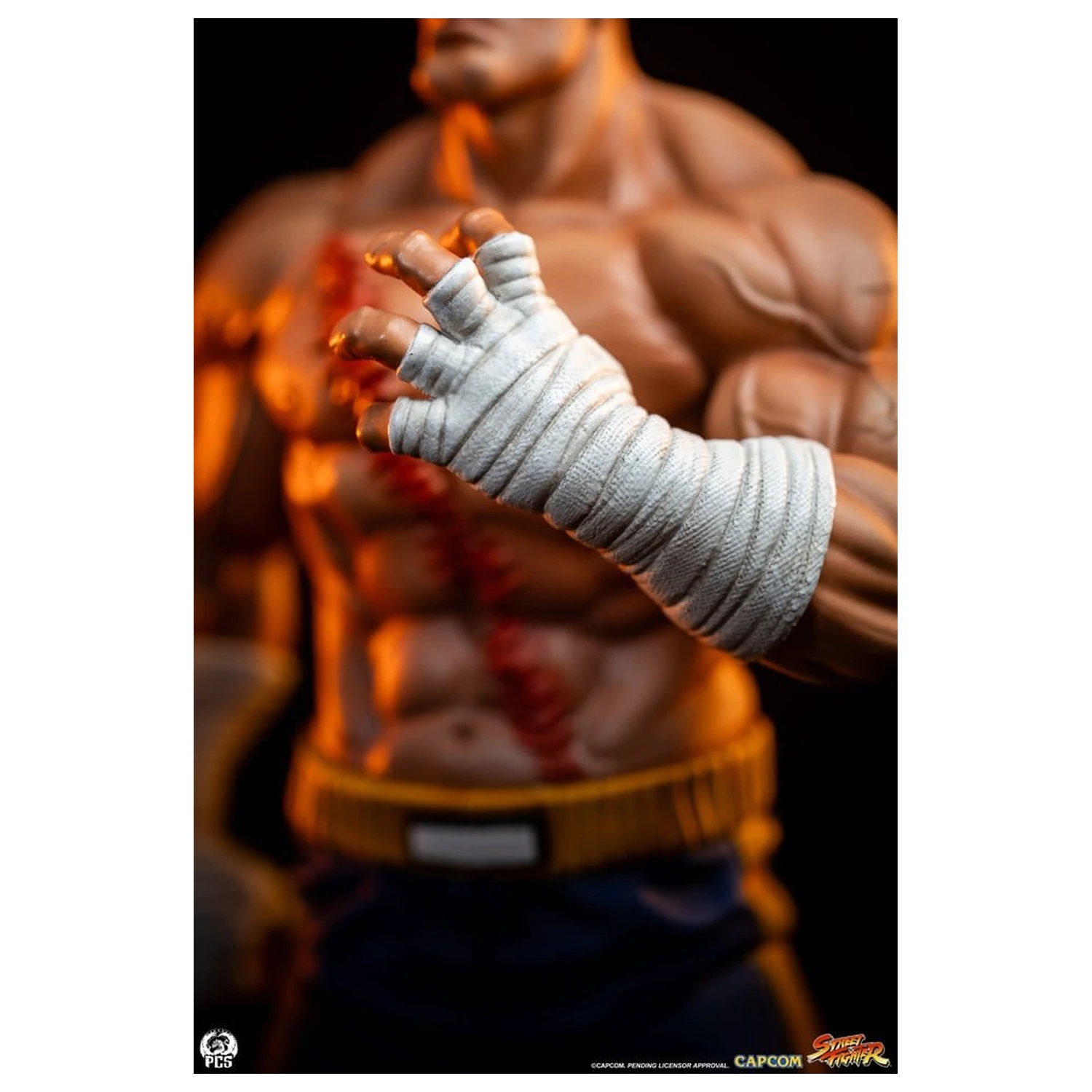 Street Fighter Street Jam statue 1/10 Sagat & Juli 24 cm fotografija proizvoda