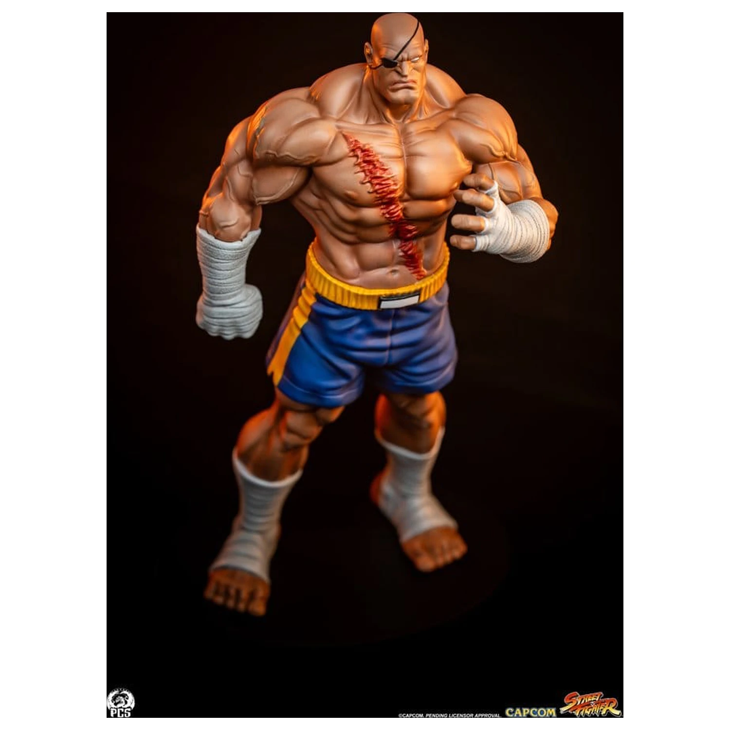 Street Fighter Street Jam statue 1/10 Sagat & Juli 24 cm fotografija proizvoda