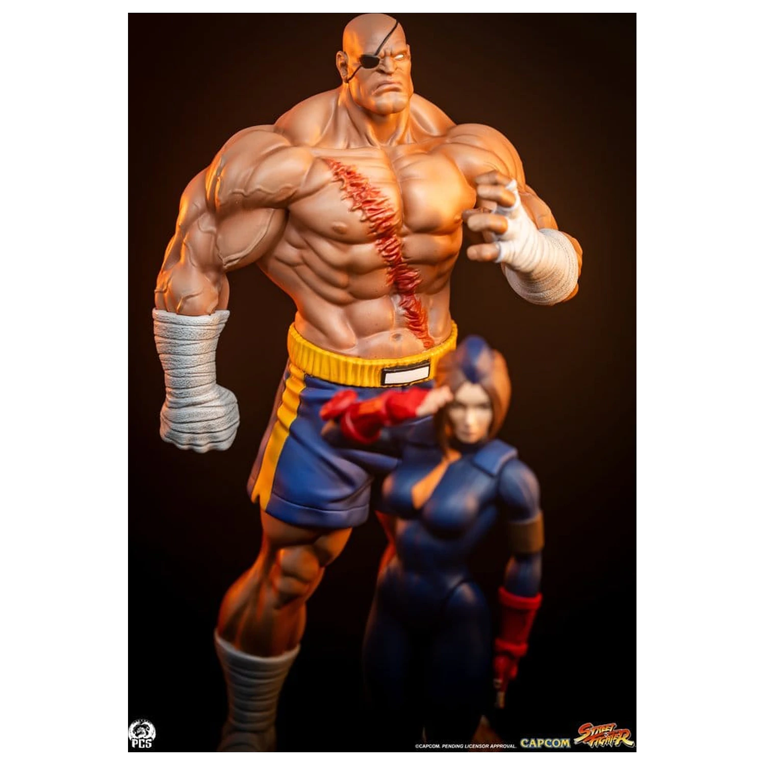 Street Fighter Street Jam statue 1/10 Sagat & Juli 24 cm fotografija proizvoda