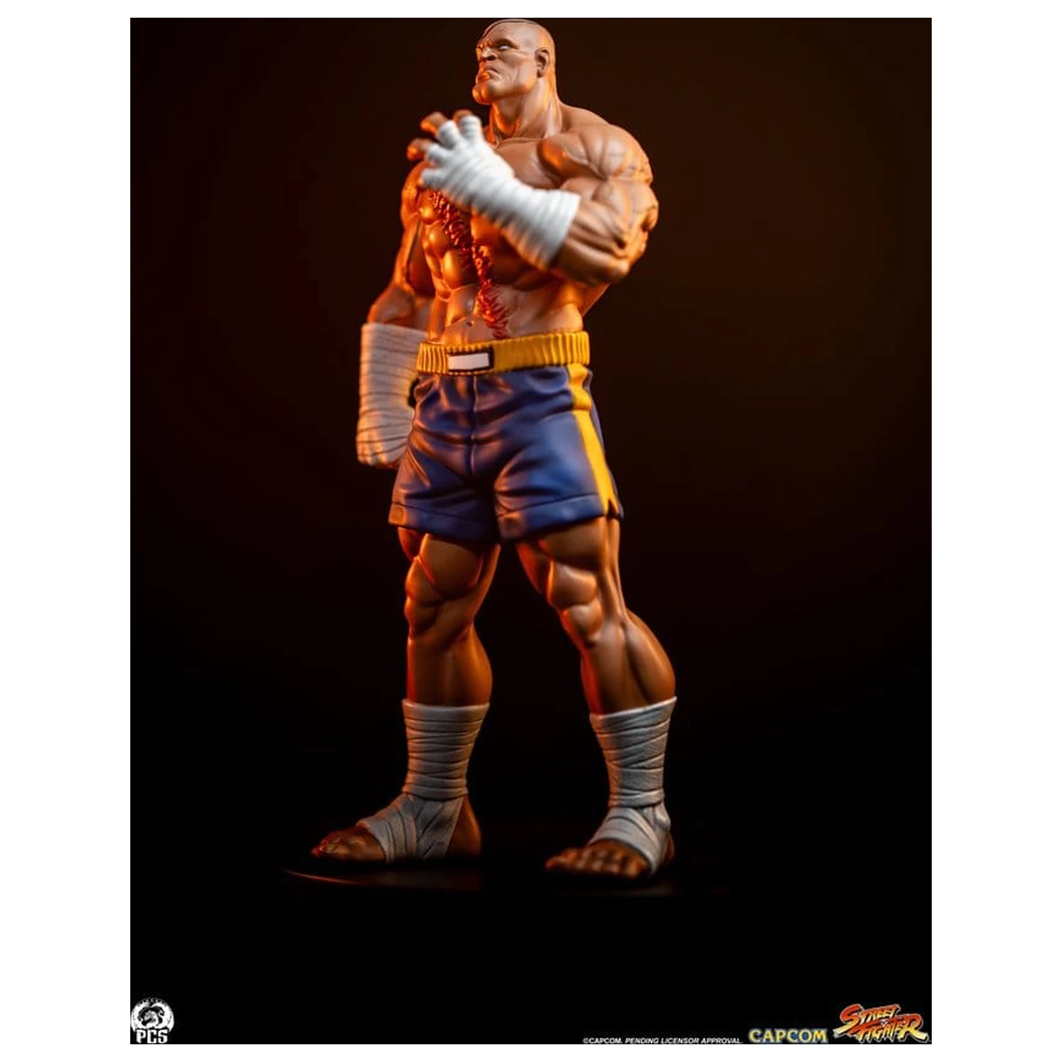 Street Fighter Street Jam statue 1/10 Sagat & Juli 24 cm fotografija proizvoda